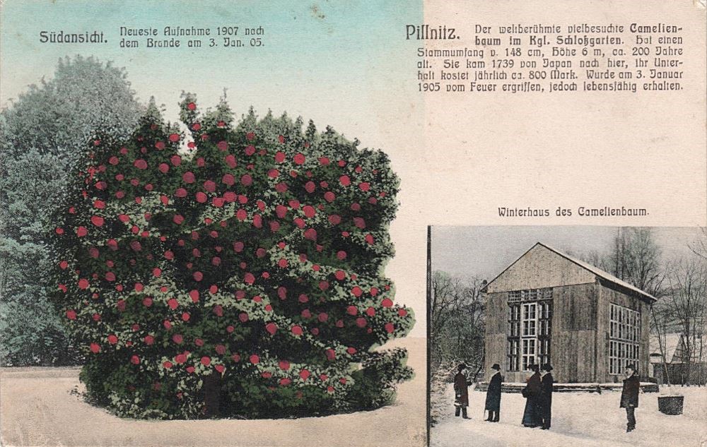 August-Böckstiegel-Straße