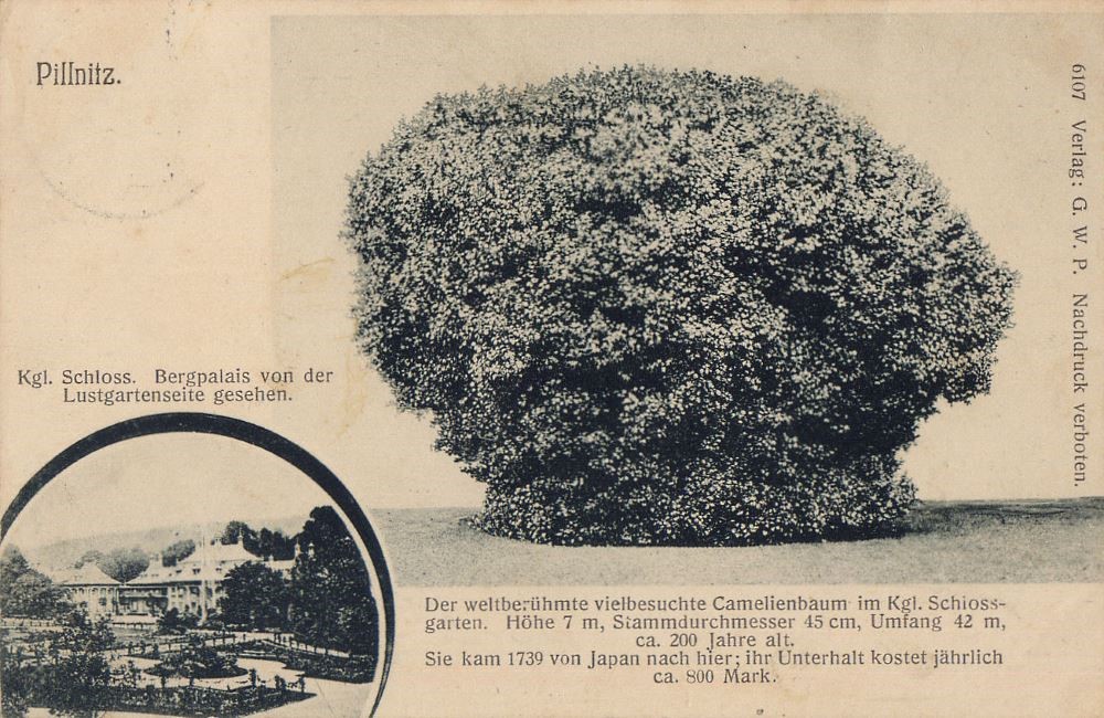 August-Böckstiegel-Straße