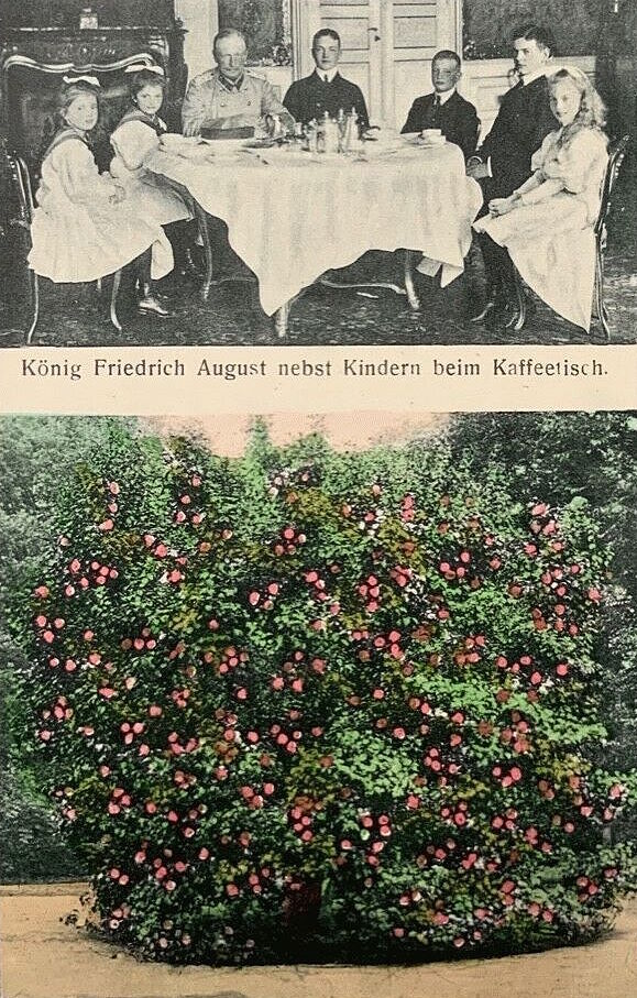 August-Böckstiegel-Straße