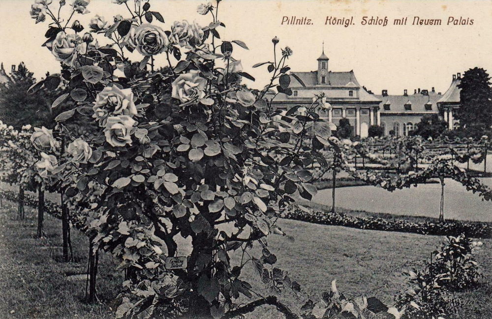 August-Böckstiegel-Straße