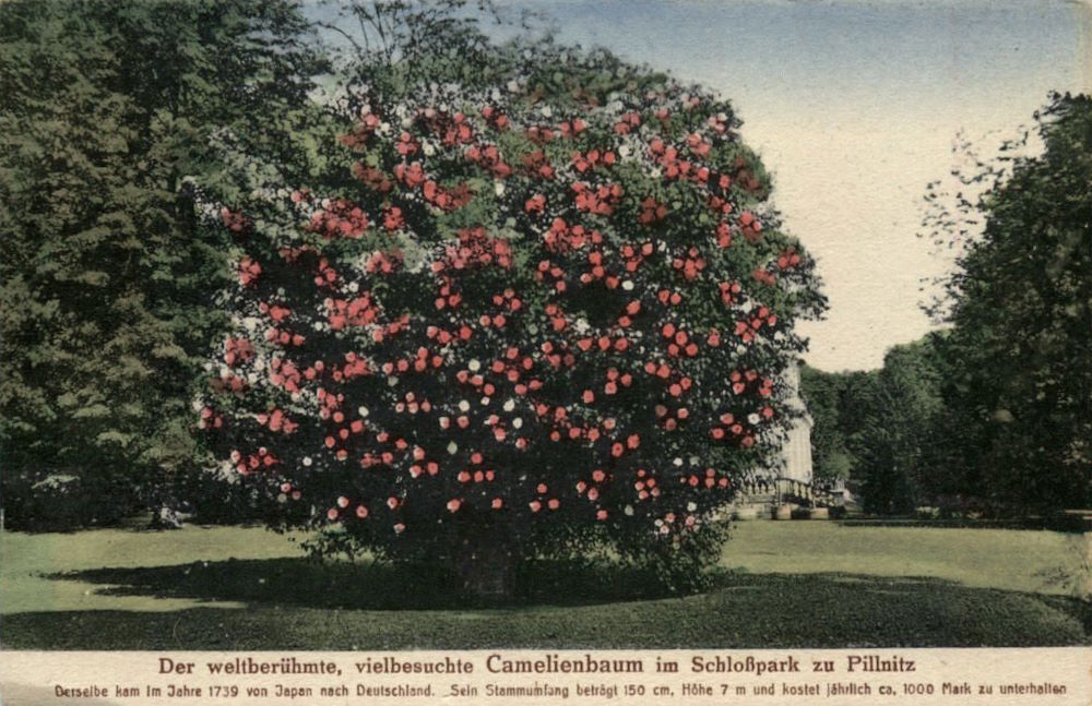August-Böckstiegel-Straße