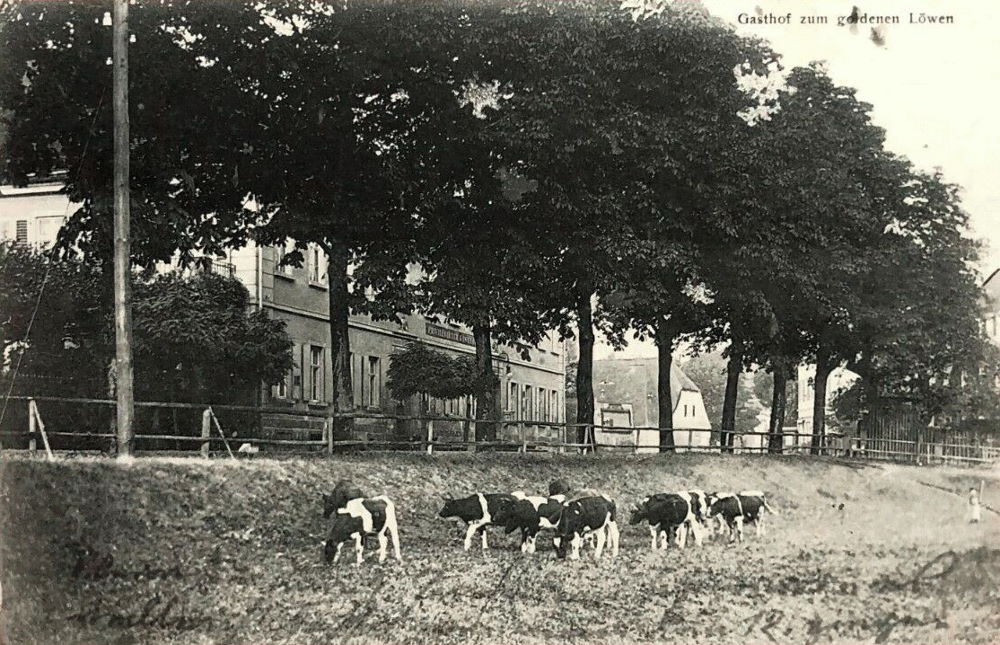 Dampfschiffstraße 1