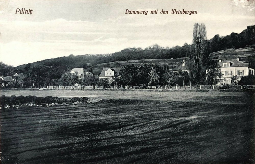 Wilhelm-Wolf-Straße (Dammweg)