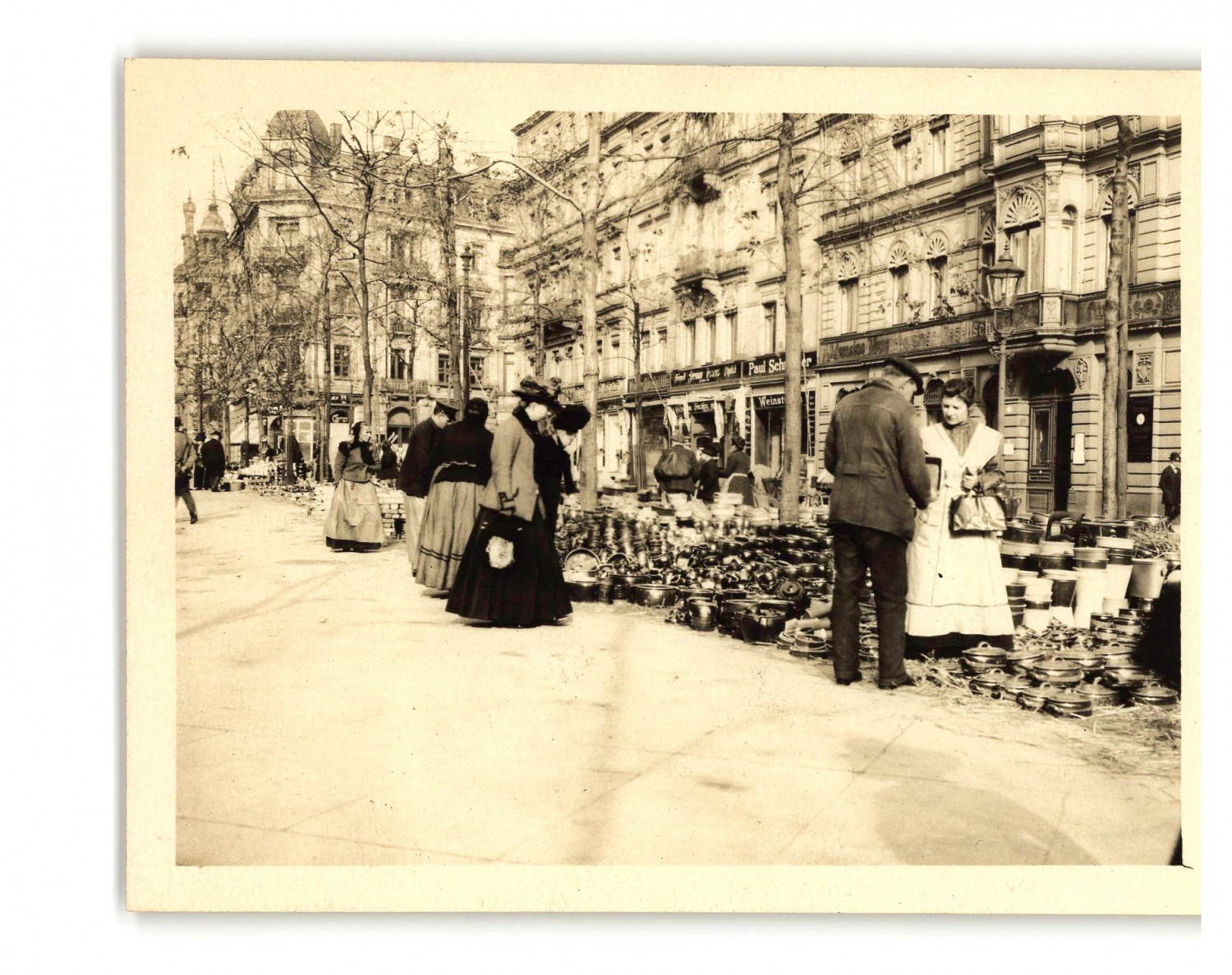 Lingnerallee 5