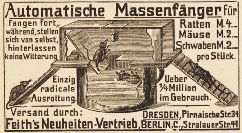 Pirnaische Straße 34