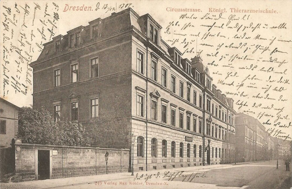 Zirkusstraße 40