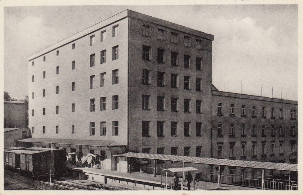 Altplauen 17