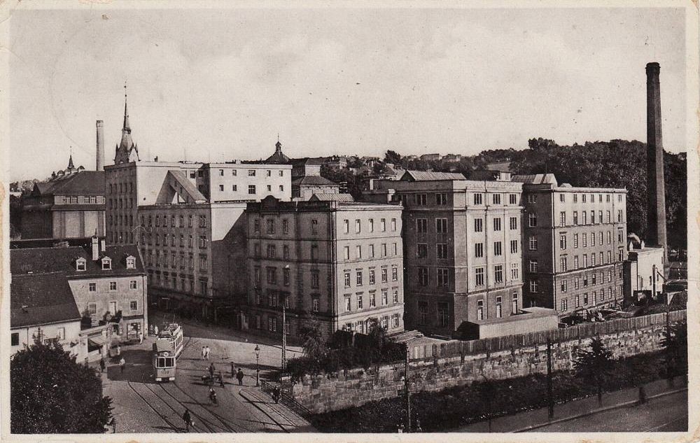 Altplauen 21