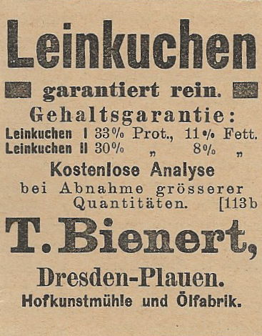 Altplauen 21