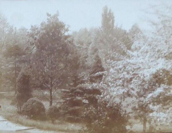 Bernhardstraße 92