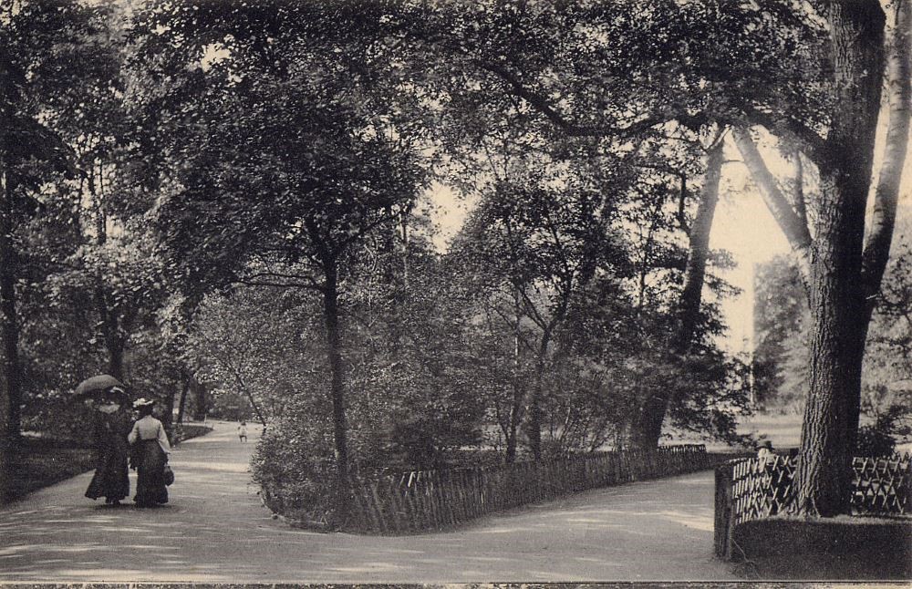 Bürgerwiese