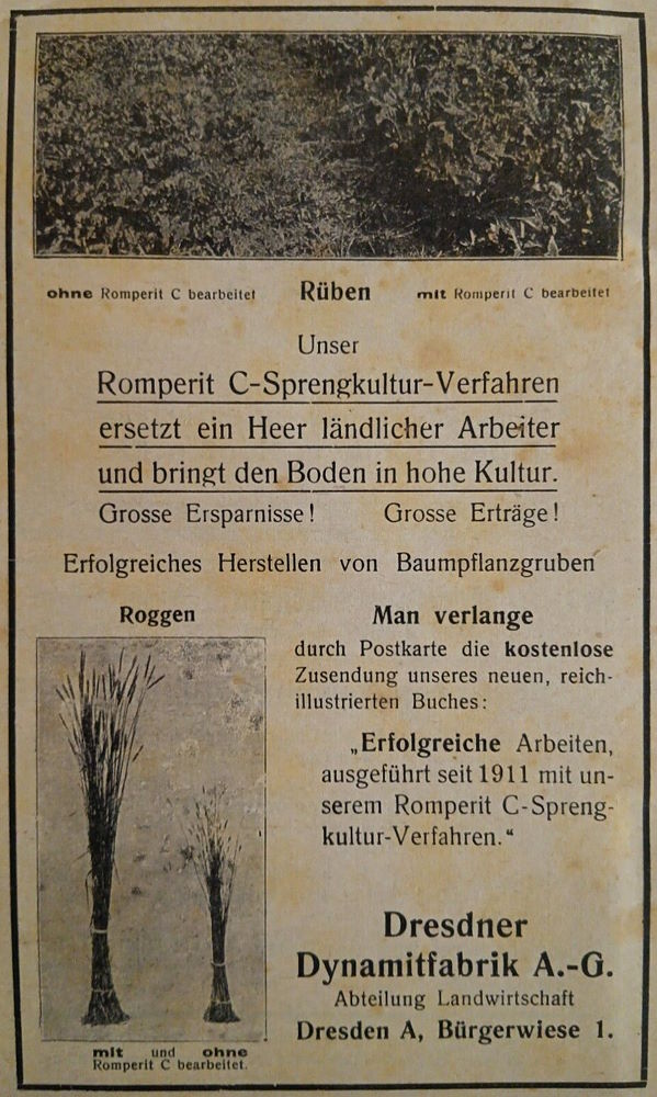 Bürgerwiese 1