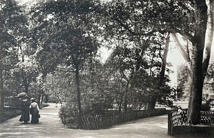 Bürgerwiese