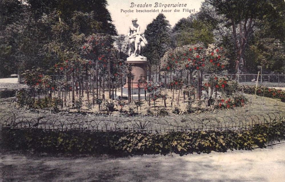 Bürgerwiese