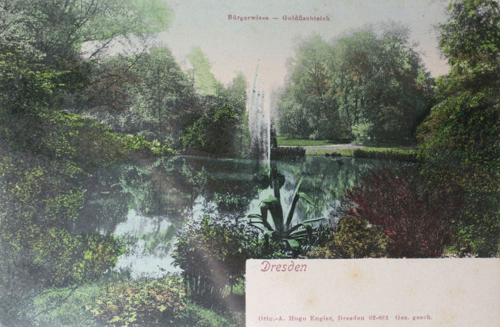 Bürgerwiese