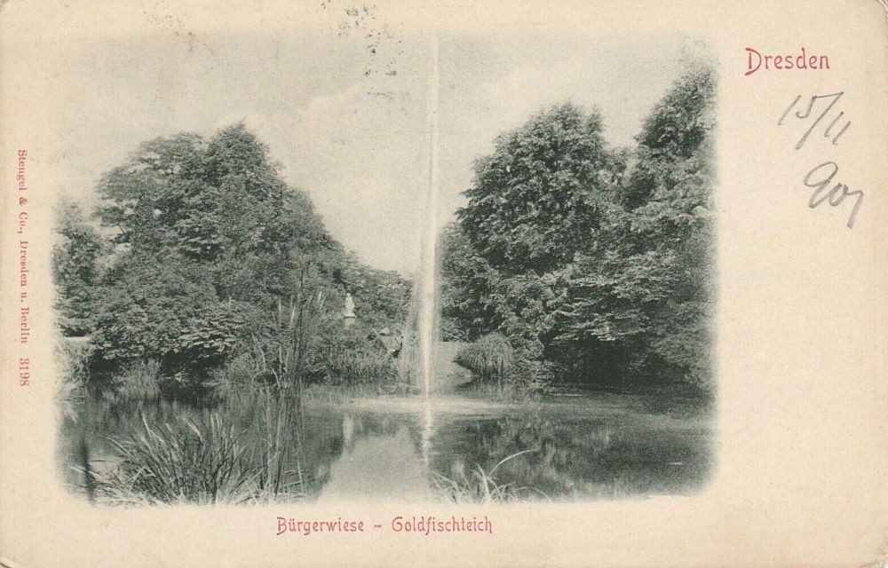 Bürgerwiese