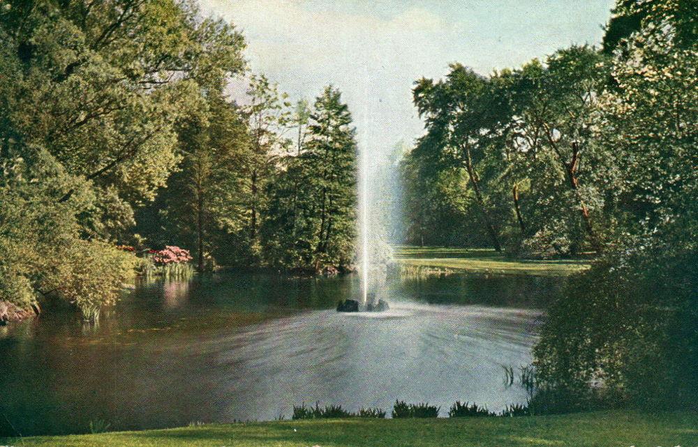 Bürgerwiese