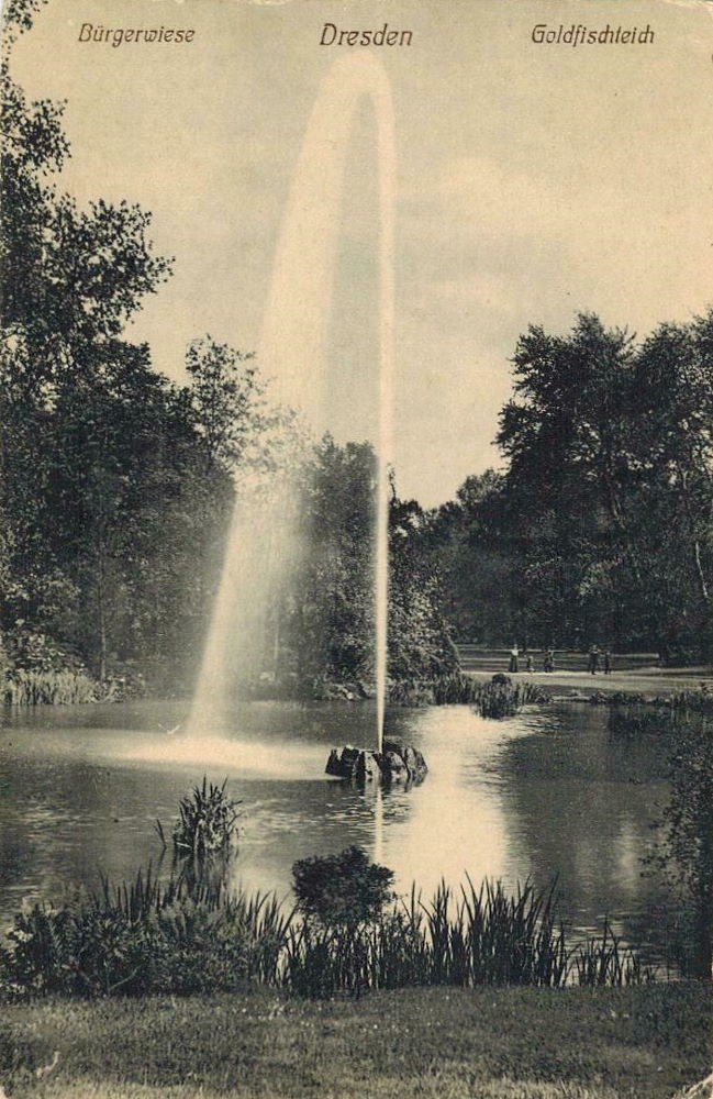 Bürgerwiese