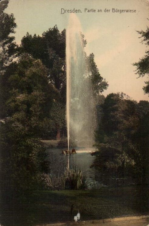 Bürgerwiese