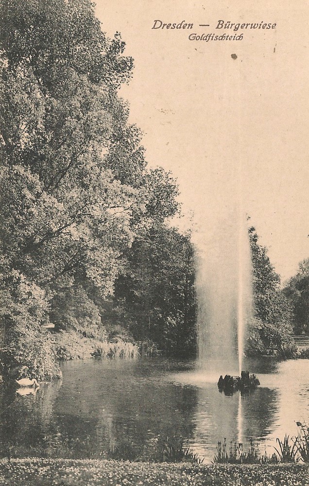 Bürgerwiese