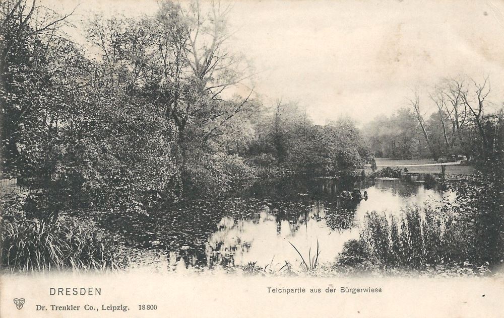 Bürgerwiese