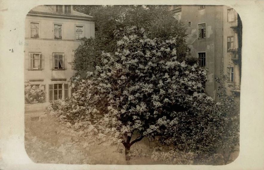 Struvestraße 38