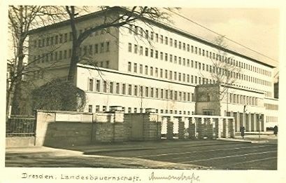 Ammonstraße 8