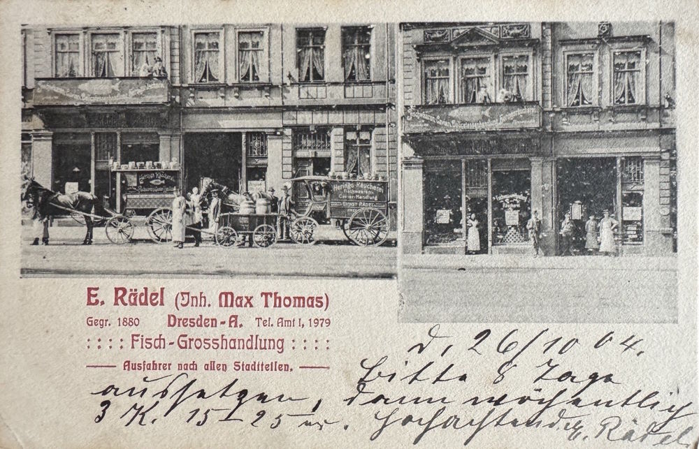 Ammonstraße 31