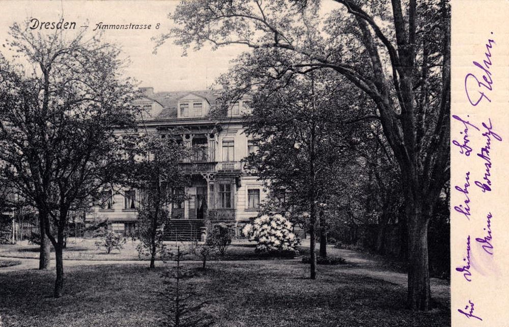 Ammonstraße 8
