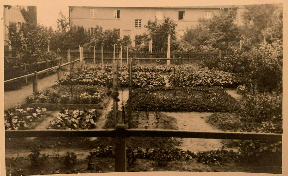 Defreggerstraße