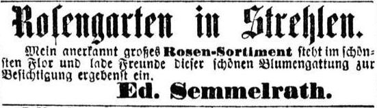 Dohnaer Straße 27 (-1892 Albertplatz 41<br>1892-93 Friedrich-August-Platz 41)