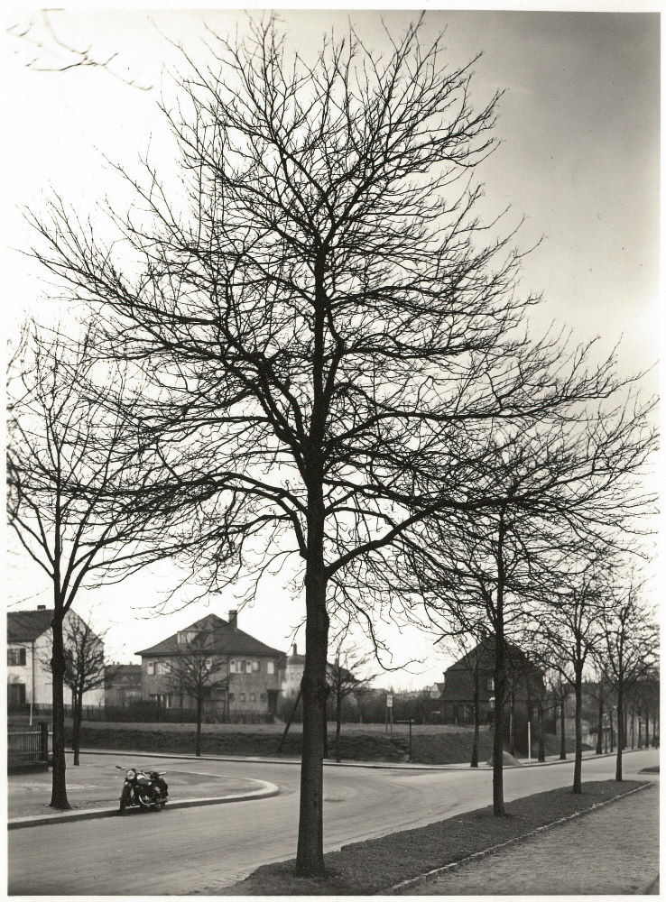 Teplitzerstraße