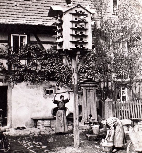 Altstriesen 18