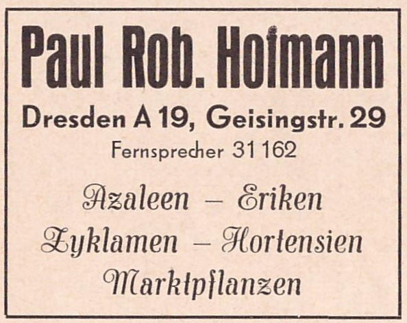 Geisingstraße 29