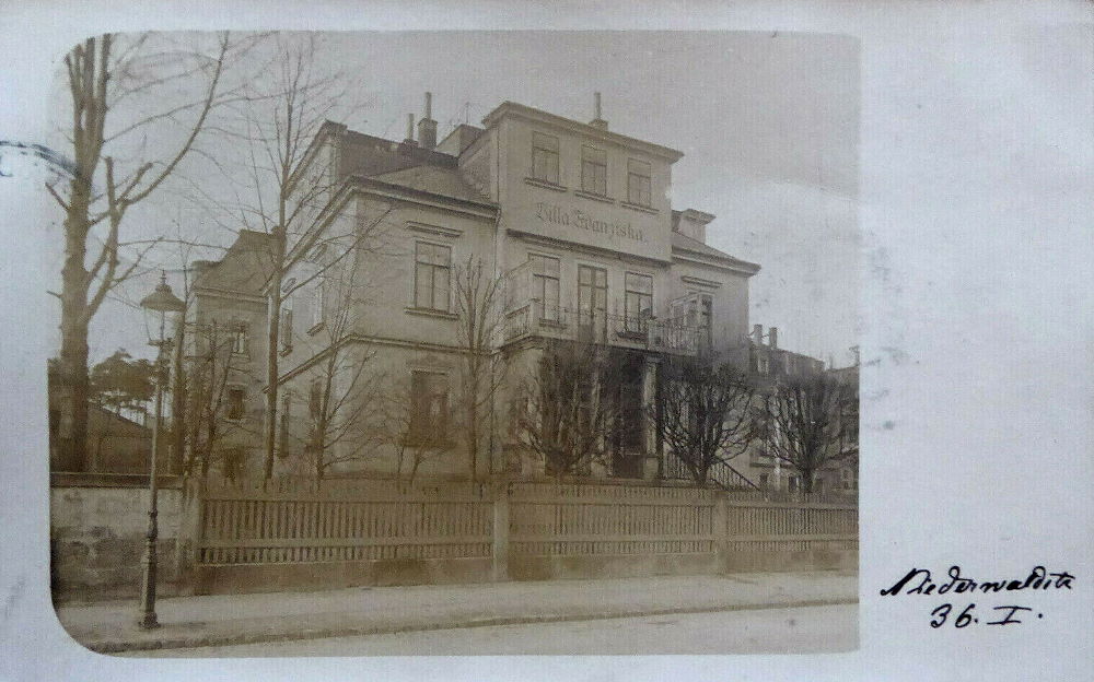 Niederwaldstraße 36 / Behrischstraße (Behrischstraße 17)