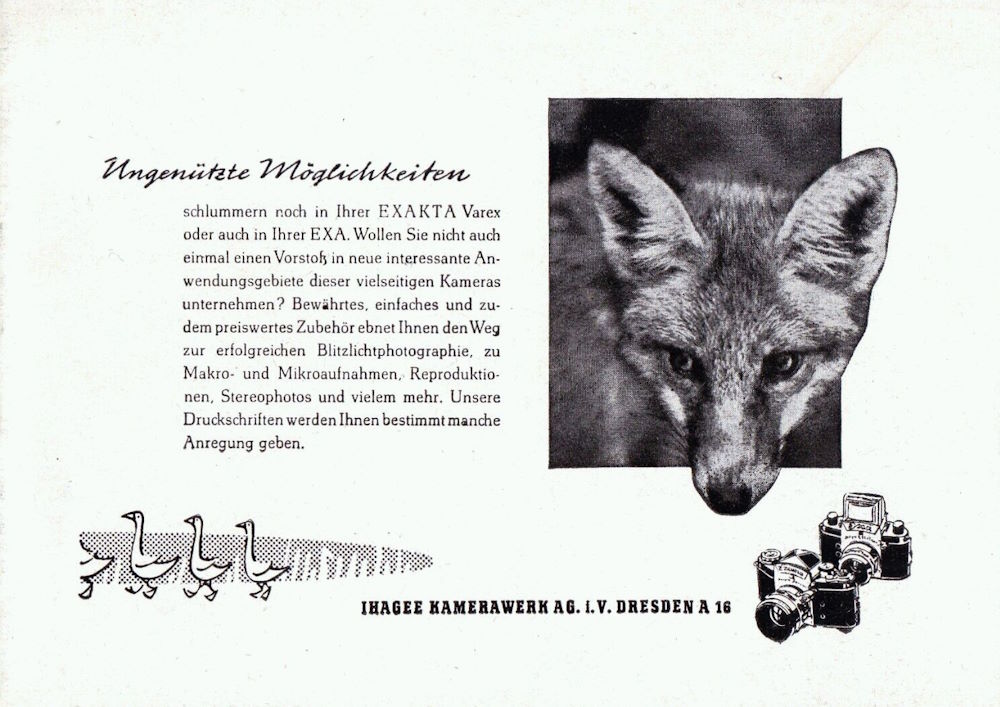 Schandauer Straße 24