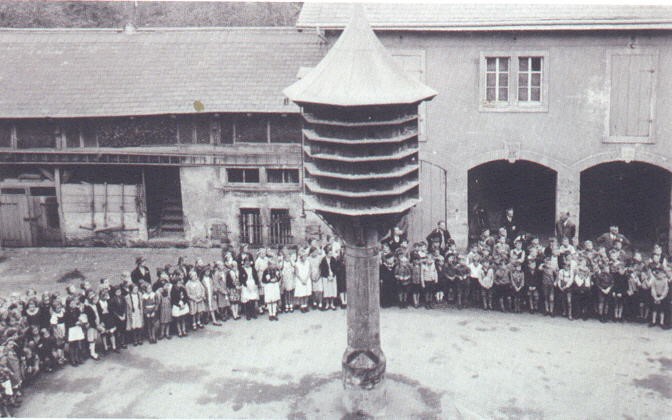 Alttolkewitz 22