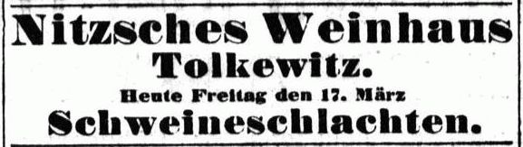 Alttolkewitz 7