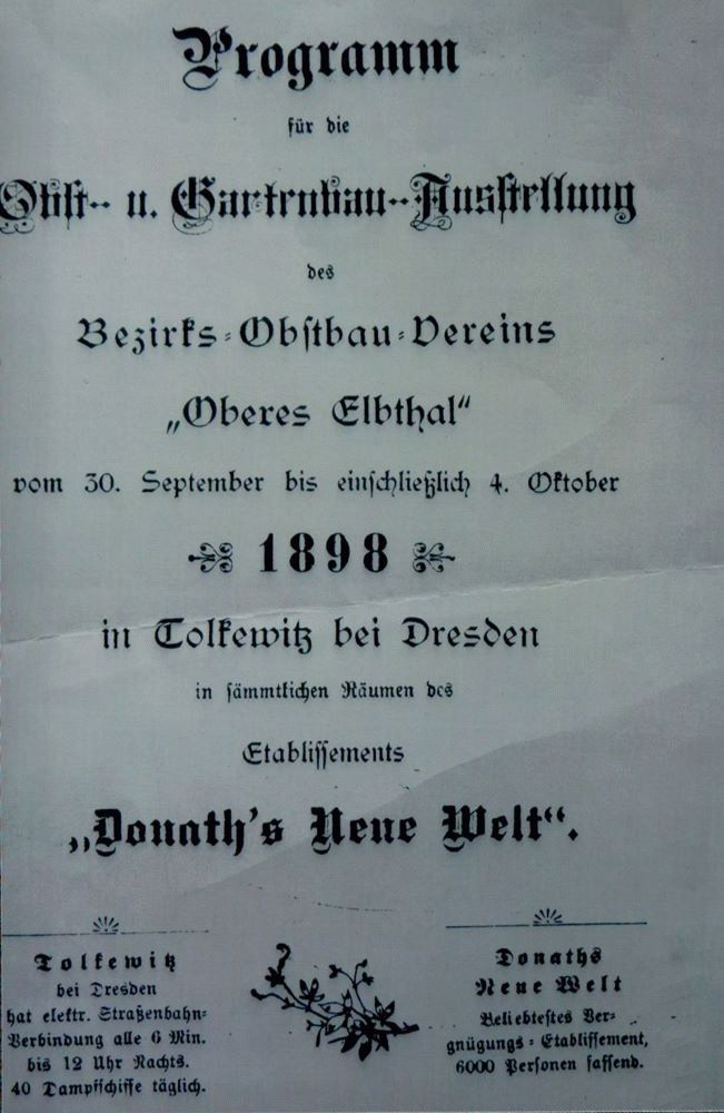 Alttolkewitz 26