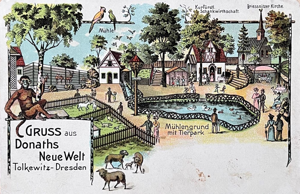 Alttolkewitz 26