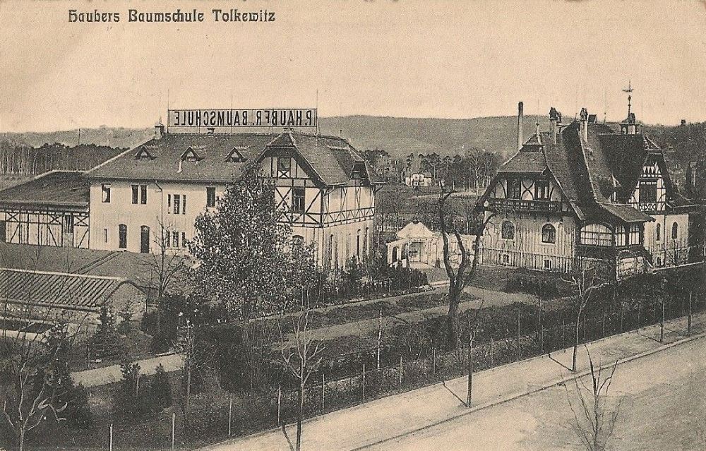 Marienberger Straße 63c (Marienberger Straße 61, Seidnitzer Straße 24) / Kipsdorfer Straße 182