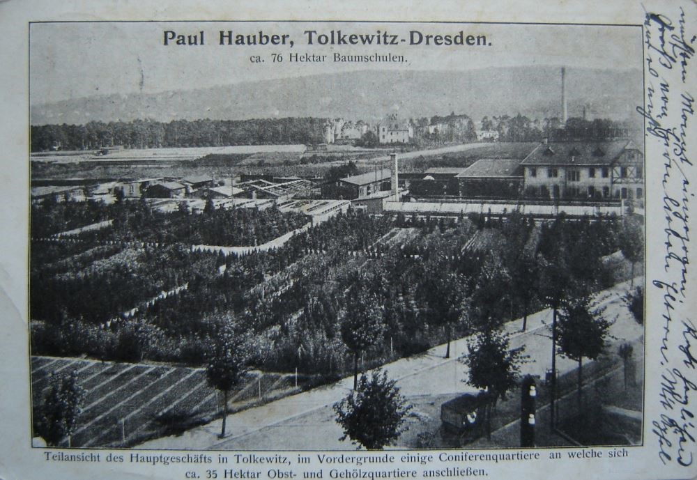 Marienberger Straße 63c (Marienberger Straße 61, Seidnitzer Straße 24) / Kipsdorfer Straße 182