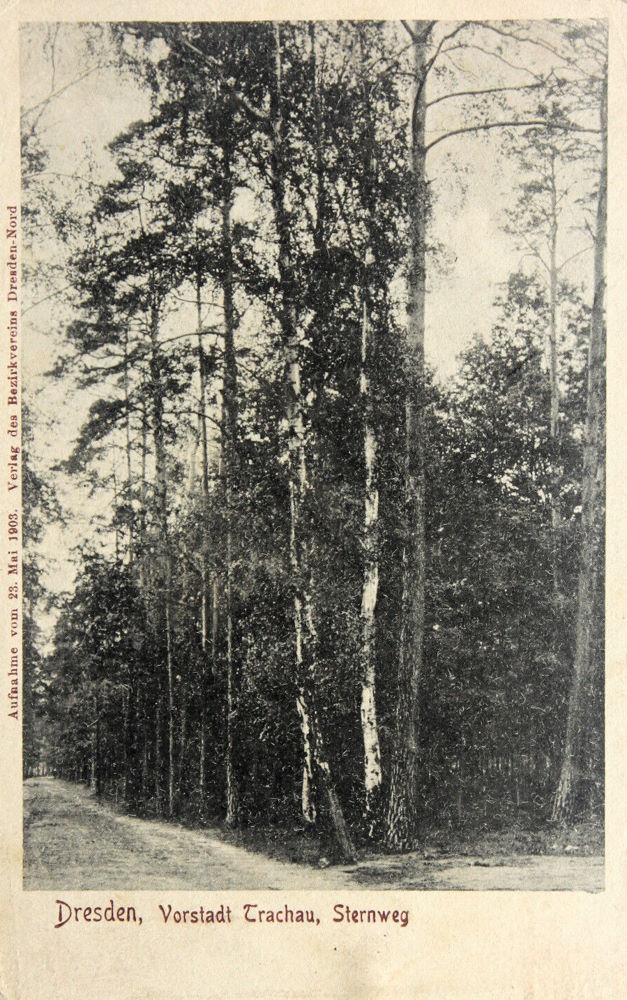 Sternweg