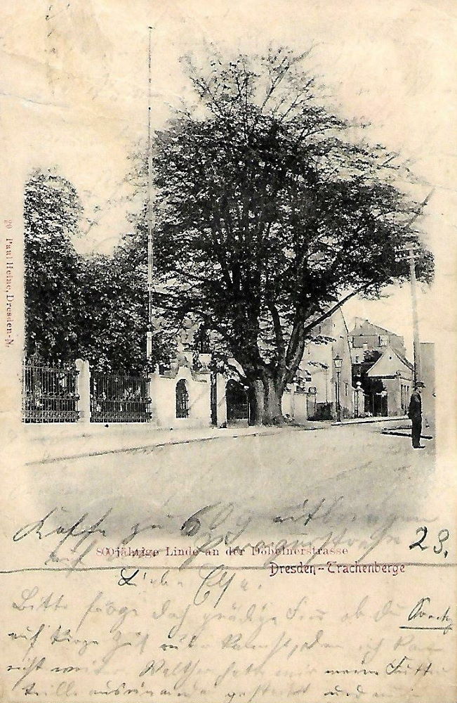 Döbelner Straße