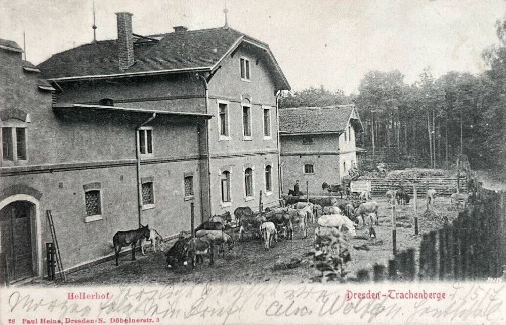 Hellerhofstraße 17