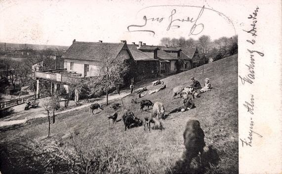 Wachwitzer Bergstraße (Bergstraße)