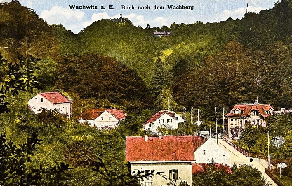Wachwitzgrund 37
