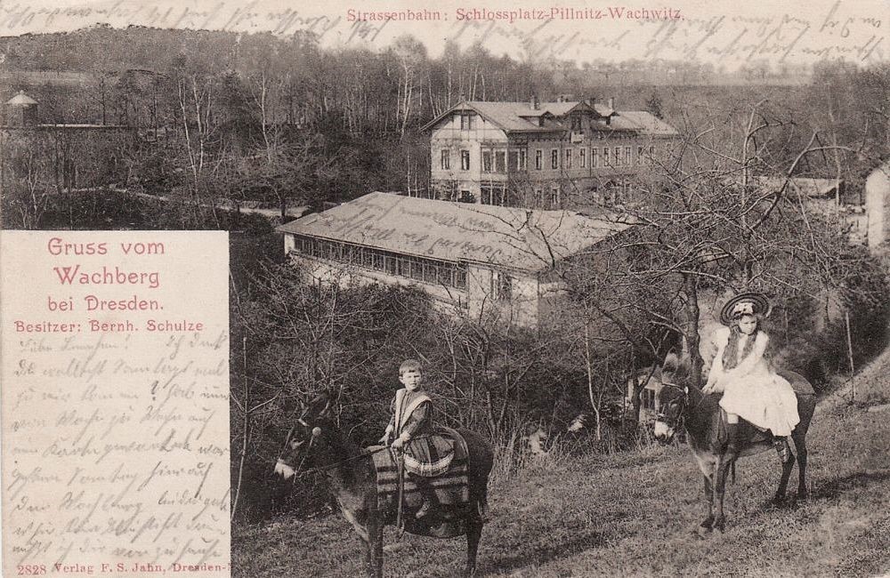 Wachwitzgrund 84