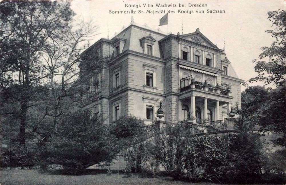 Wachwitzer Weinberg 1