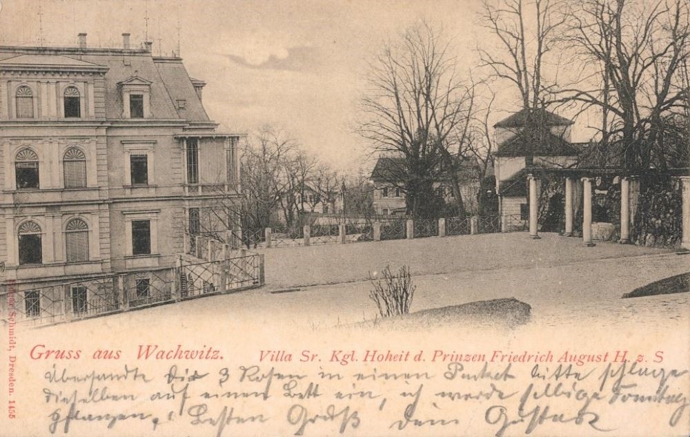Wachwitzer Weinberg 1